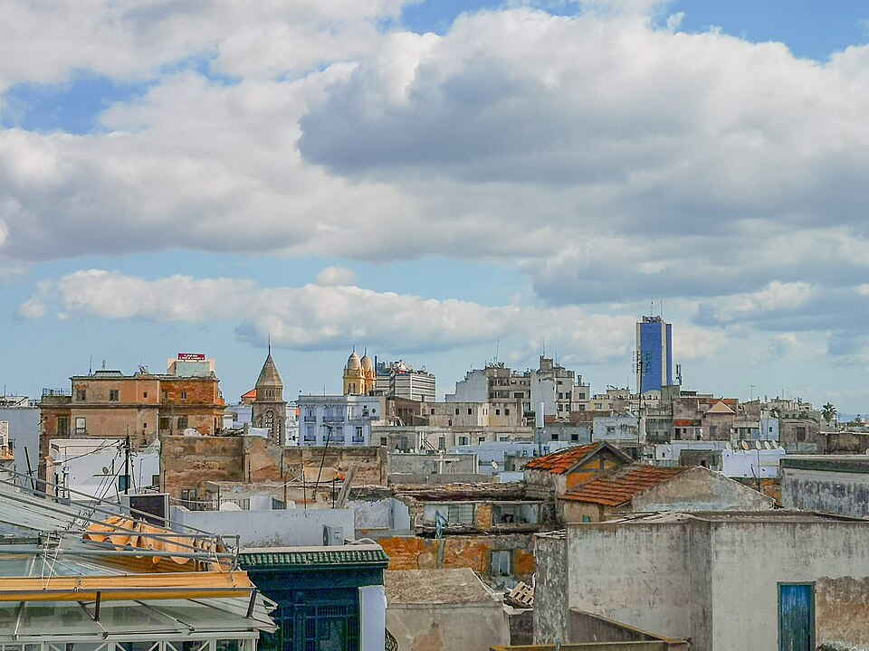 Rooftops and skyline of Tunis